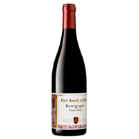 Bourgogne Pinot Noir - Rouge - Cuvée Simone - 2021 - Guy Amiot et Fils