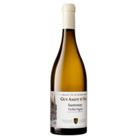 Santenay - Vieilles Vignes - Blanc - 2021 - Domaine Guy Amiot & Fils