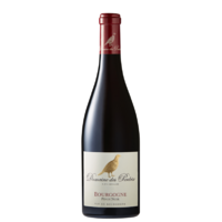 Bourgogne Pinot Noir - Rouge - 2020 - Domaine des Perdrix