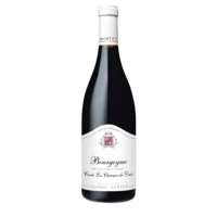 AOC Bourgogne - Cuvée Les Charmes de Daix - Rouge - 2021 - Domaine Thierry Mortet - 75 cl