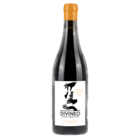 Vin de France "Syrah Sauvage" Syrah/Cinsault - Rouge - 2021 - DIVINEO Création à quatre mains - 75cl