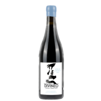 Vin de France "Syrah de Robiac" - Rouge - 2021 - DIVINEO Création à quatre mains - 75cl