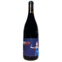 AOP Bugey Gamay/Mondeuse "L'Amichto" - 2022 - Domaine de Pacotille / F. Galeyrand - 75cl