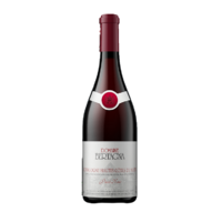 Bourgogne Hautes Côtes de Nuits - Rouge - 2022 - Domaine Bertagna
