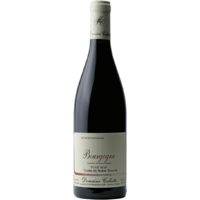 Bourgogne Pinot Noir - Cuvée de Noble Souche - Rouge - 2023 - Domaine Collotte
