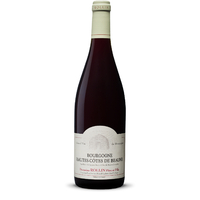 Bourgogne Hautes-Côtes de Beaune - Rouge - 2022 - Domaine Rollin Père et Fils