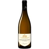 Bourgogne Chardonnay La Garenne - Blanc - 2022 - Domaine Tupinier-Bautista