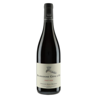 AOC Bourgogne Côte d'Or Pinot Noir - Rouge - 2021 - Domaine Henri Magnien - 75cl