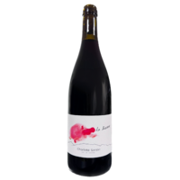 AOP Savoie "La Traverse" Pinot Noir/Gamay - Rouge - 2023 - Charlotte Sonjon - 75cl