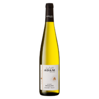 AOC Alsace Riesling "Pur Granite" - Blanc - 2022 - Jean-Baptiste Adam - 75cl