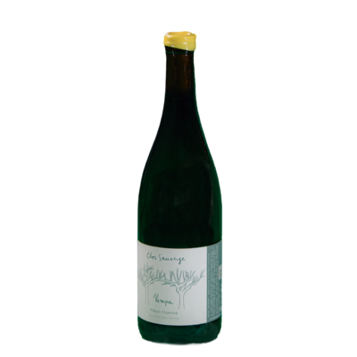 Pampa-blanc-carre (2)