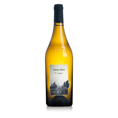 Pignier_gamay_blanc-2-1