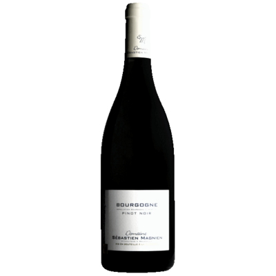 bourgogne magnien