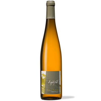 Pinot-Gris-FAA_4800