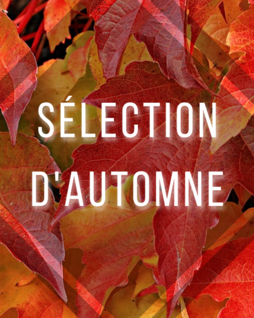 SELECTION AUTOMNE