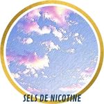 E-LIQUIDE AUX SELS DE NICOTINE