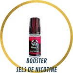 BOOSTER SELS DE NICOTINE