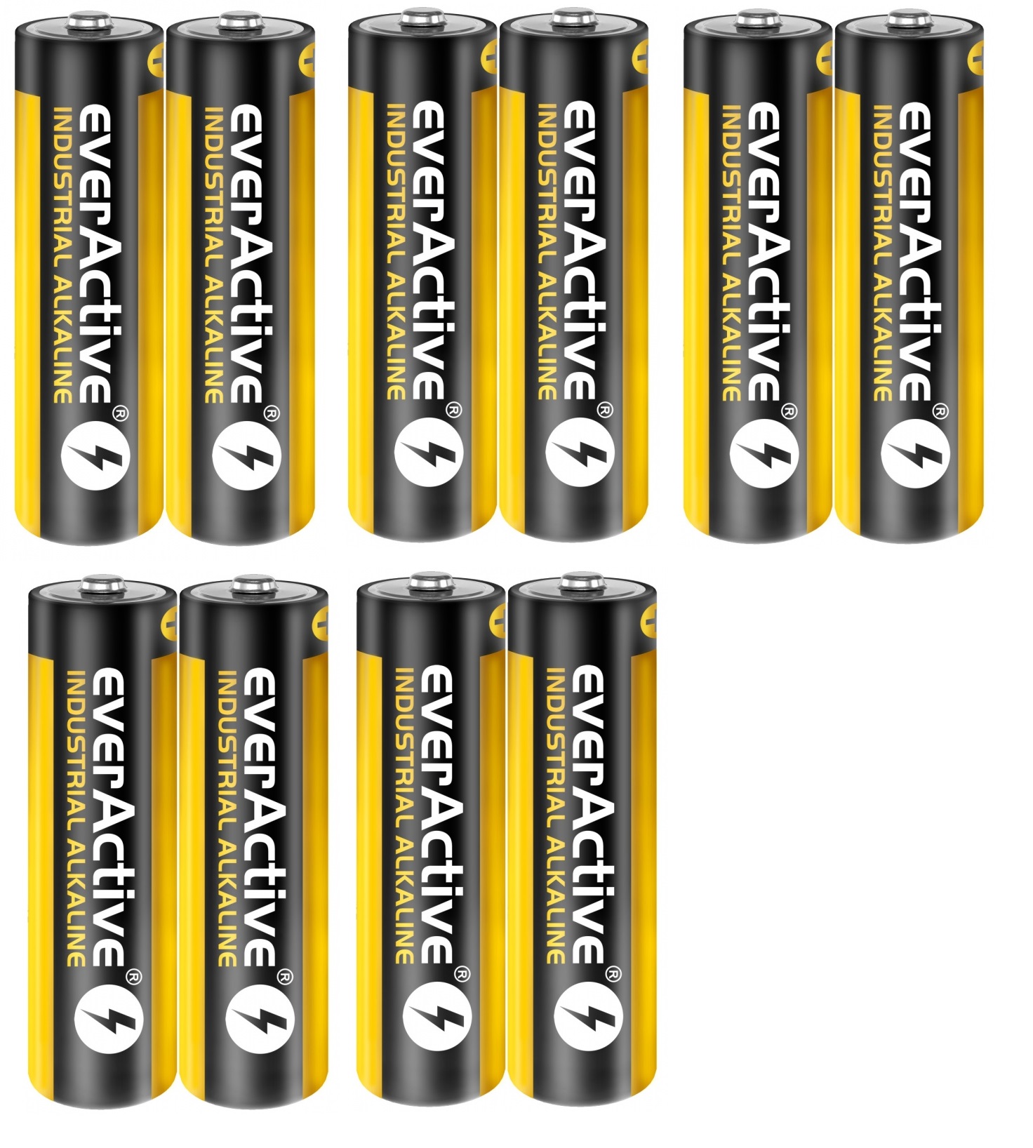 Lot de 10 piles alcalines everActive Industrial