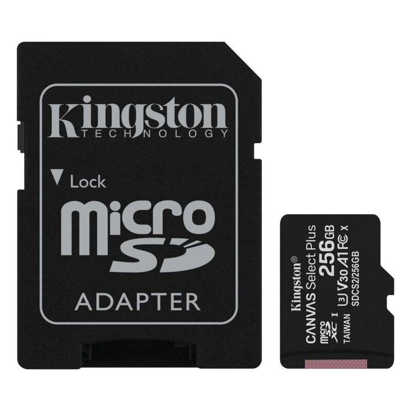 Carte microSD Kingston 256 Go, autre vue