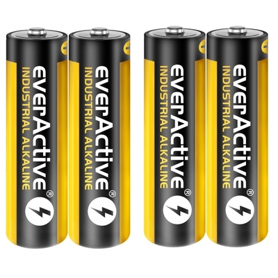 X4 AA EVERACTIVE