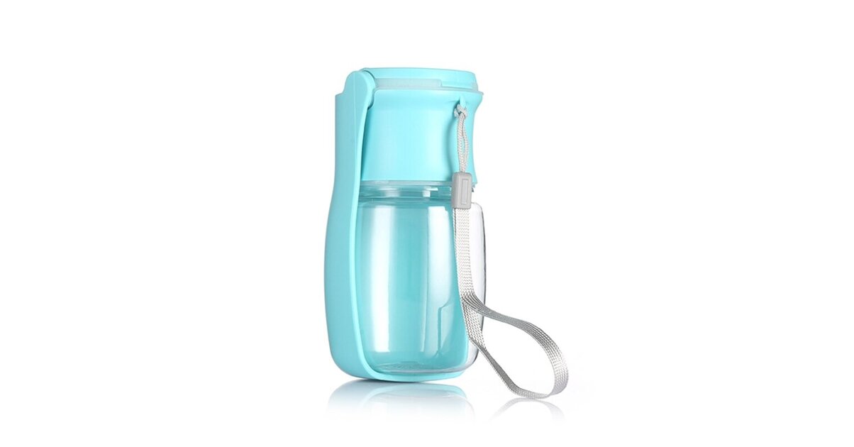 Gourde Isotherme Pour Chien 950ml Avec Gamelle Nourriture/eau - Acier Inoxydable SUS304 - Portable Pour Voyages
