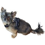 Harnais anti-traction noir réfléchissant Pounet pour chien