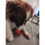 Balles Chuckit! Ultra Ball, vue 3