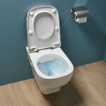 pack-wc-suspendu-sans-bride-jacob-delafon-struktura-e29394-00