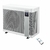 AST15571217-XL