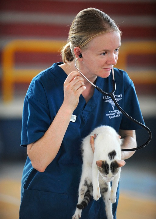Veterinaire 1
