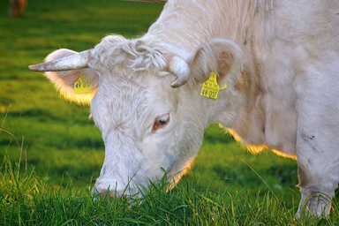 agriculteur 2.jpg