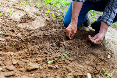 agriculteur 1