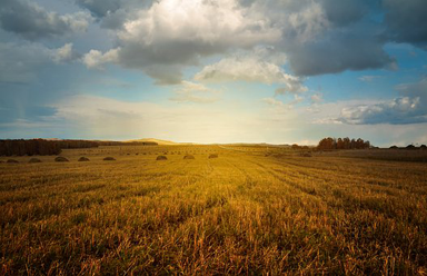 AGRICULTEUR 4.jpg
