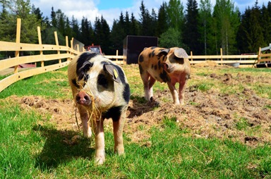 agriculteur 3.jpg