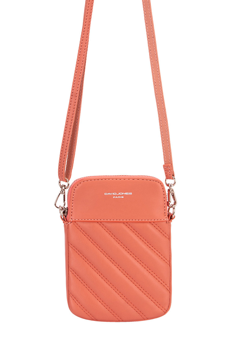 pochette david jones