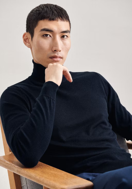 Pull col roulé homme en laine Merino - Marine - SEIDENSTICKER ...