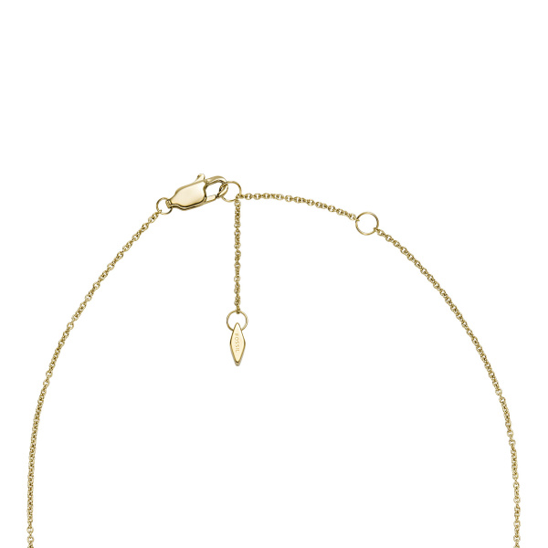 collier-fossil-JF04115710-2