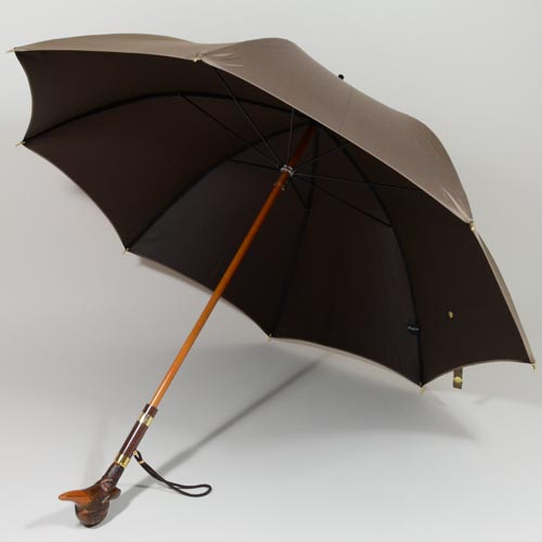 parapluieaviateur2