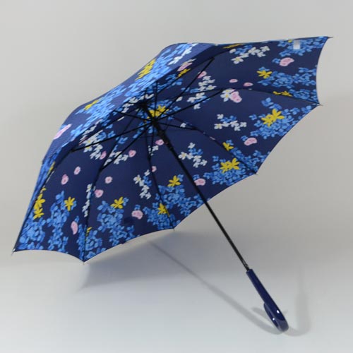 parapluieprintemps2