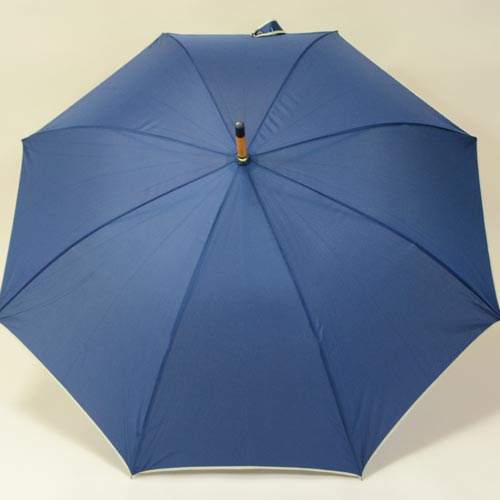 parapluiebluewood2