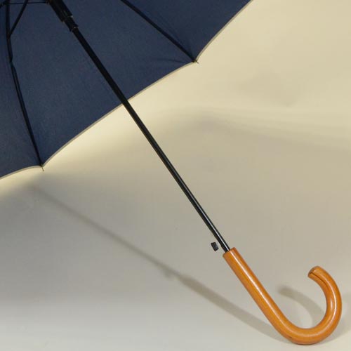 parapluiebluewood5