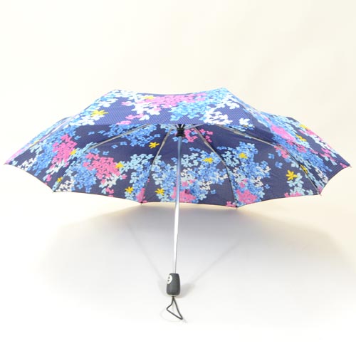 parapluieminiprintempsIII1