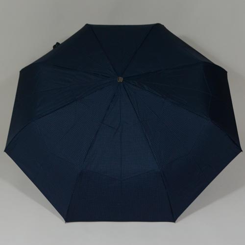 parapluiephilabluestar2