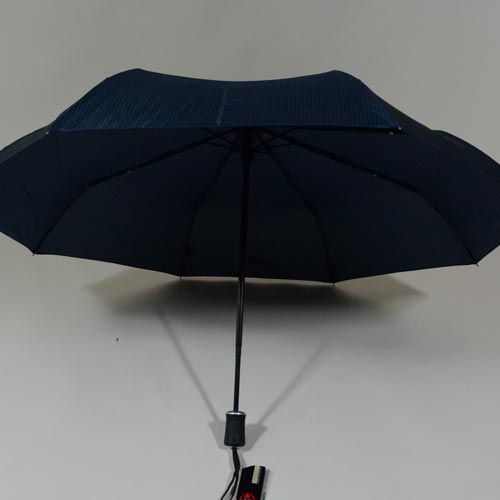 parapluiephilabluestar3