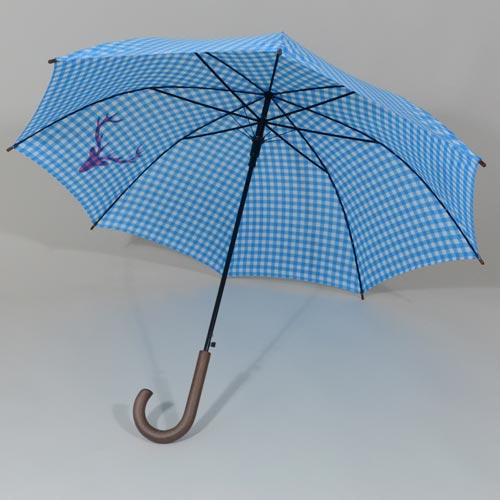 parapluieheidibleu1