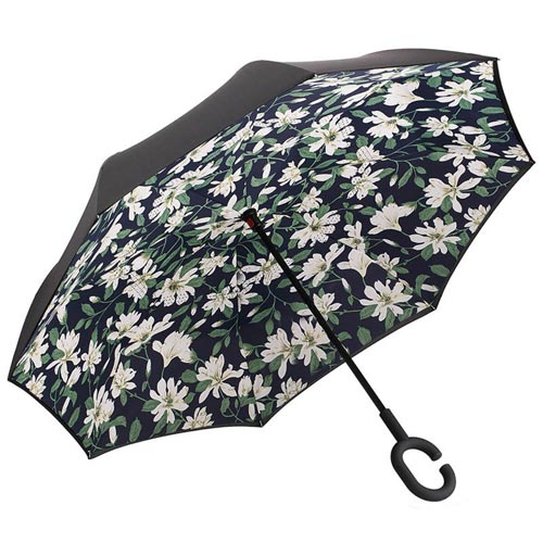 parapluiesuprellagarden1