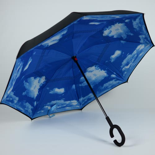 herlaine paris parapluie