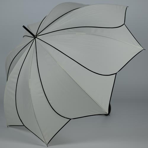 parapluiesunflowerb3