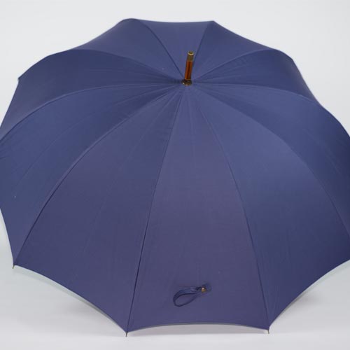 parapluie de berger bleu 3