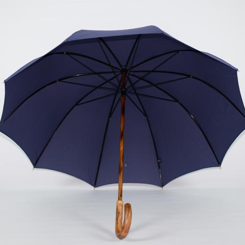 parapluie de berger bleu 4